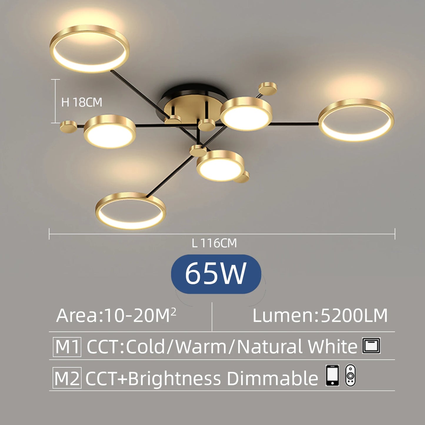 Modern Circle LED Ceiling Light