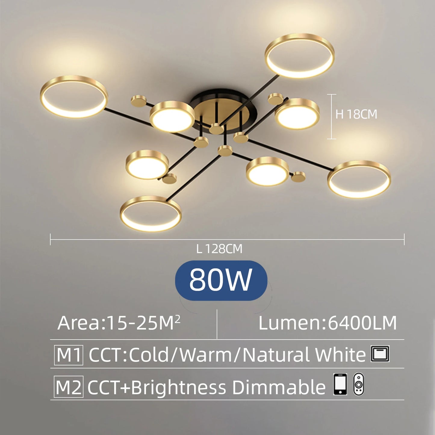 Modern Circle LED Ceiling Light